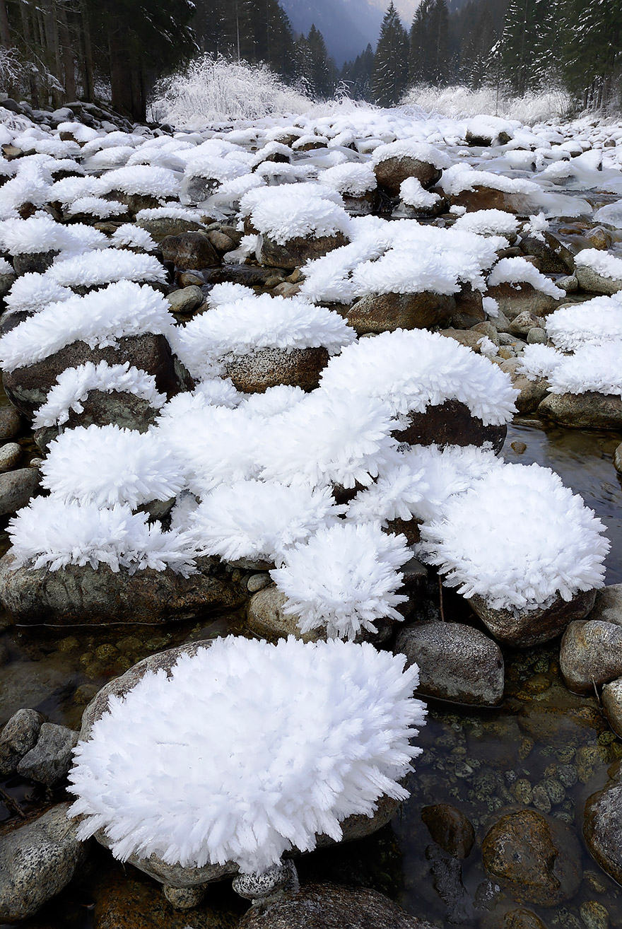 "Hielo