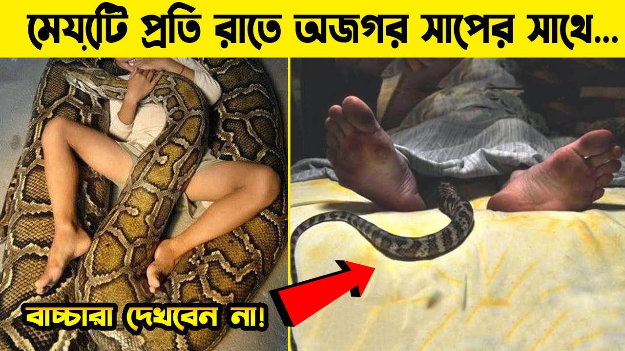 সাপের সাথে ঘুমিয়ে থাকা মেয়েটির কি হলো একবার নিজের চোখেই দেখুন snake animal  with girl sleeping story - YouTube