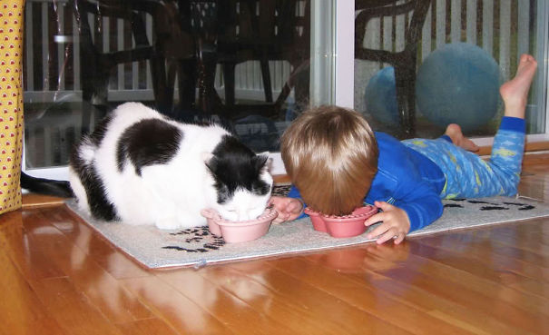 "los-niños-actúan-como-animales-comiendo-comida-para-gatos__605"