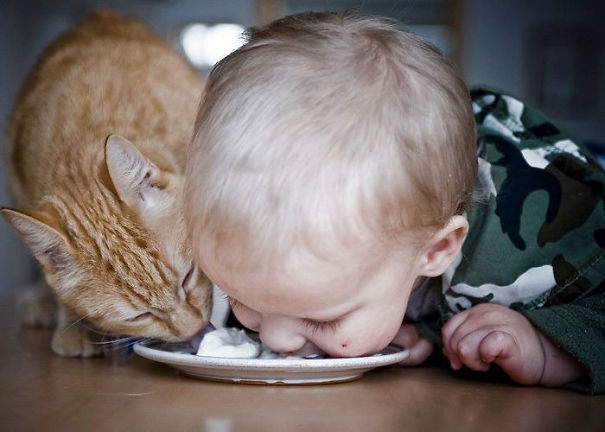 "los-niños-actúan-como-animales-comiendo-con-gato__605"