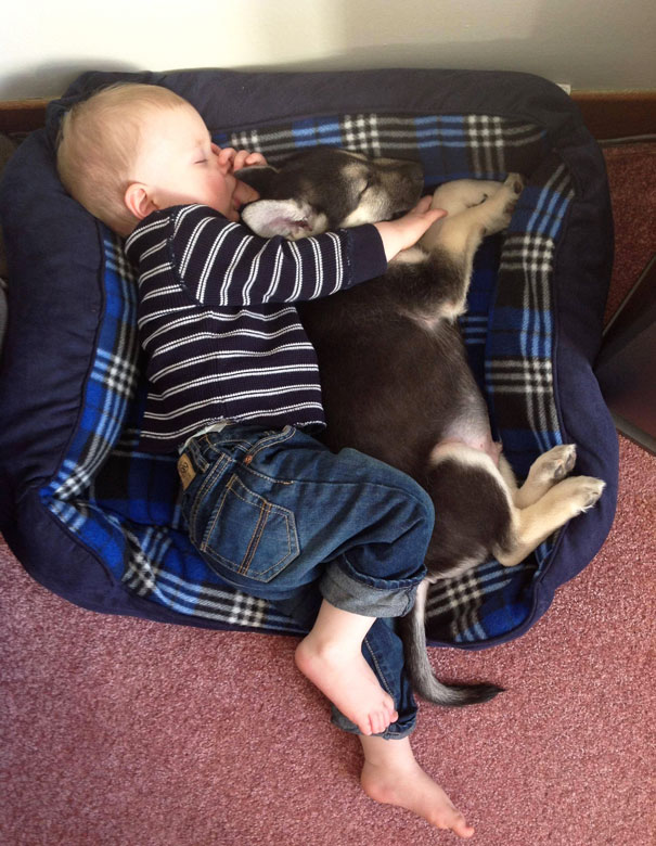 "los-niños-actúan-como-animales-durmiendo-con-cachorro__605"