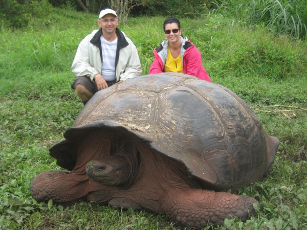 Exposing the truth about the giant tortoise of 529 years and 363 kg of weight 2