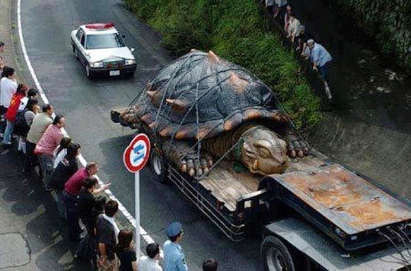 Exposing the truth about a giant tortoise of 529 years and 363 kg of weight 1