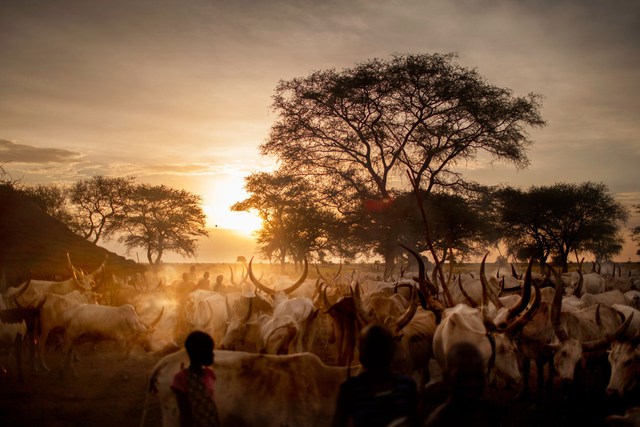 Bộ tộc Dinka của Nam Sudan: Những người cao nhất ở châu Phi - Ảnh 6.