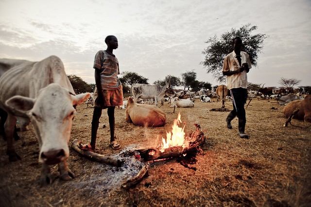 Bộ tộc Dinka của Nam Sudan: Những người cao nhất ở châu Phi - Ảnh 8.