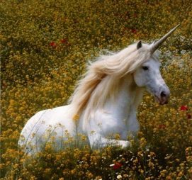 What Mythical Creature are You? | Real unicorn, Mythical creatures, Unicorn
