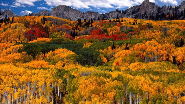 Ngắm mùa thu kỳ diệu trên đỉnh Rocky Mountain - Ảnh 13.